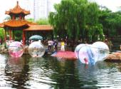 大连市劳动公园旅游攻略 之 水上游乐园
