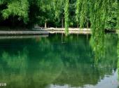 临朐老龙湾旅游攻略 之 濯马潭