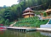 江西三百山风景名胜区旅游攻略 之 洞树