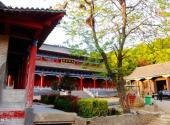 驻马店金顶山风景区旅游攻略 之 竹林寺