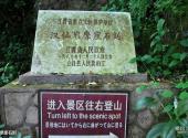 江西汉仙岩风景区旅游攻略 之 摩崖石刻