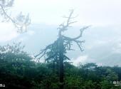 南平邵武云灵山旅游景区旅游攻略 之 云灵山