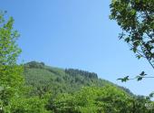 绵阳北川药王谷旅游攻略 之 森林