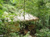 五指山热带雨林风景区旅游攻略 之 茅草屋