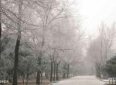 辽宁大学校园风光 之 雪中辽大