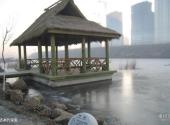 大连前关城市中央湿地公园旅游攻略 之 结冰的湖面