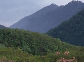汉中市南湖风景区旅游攻略 之 鸳鸯山