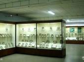 山东山旺古生物化石国家级自然保护区旅游攻略 之 植物化石