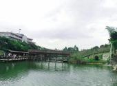东莞龙凤山庄旅游攻略 之 中式长廊