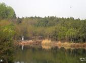 宿迁嶂山森林公园旅游攻略 之 风景