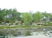 苏州金鸡湖景区旅游攻略 之 方洲公园