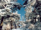 四川峨眉山风景区旅游攻略 之 大坪霁雪