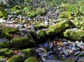 本溪绿石谷旅游攻略 之 苔藓绿石