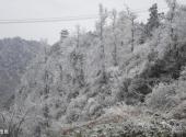 上饶铅山葛仙山风景区旅游攻略 之 雪景