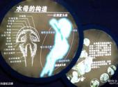 青岛水族馆旅游攻略 之 科普知识牌