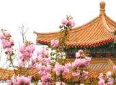 洛阳市中国国花园景区旅游攻略 之 飞燕红妆广场