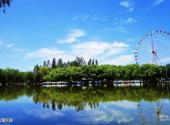 呼和浩特青城公园旅游攻略 之 儿童乐园