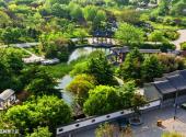 昌邑绿博园旅游攻略 之 品种展示区