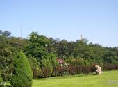大连棒棰岛旅游攻略 之 风景