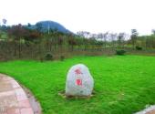 广元平乐旅游区旅游攻略 之 枫园