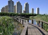 大连前关城市中央湿地公园旅游攻略 之 木栈道
