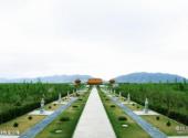 朔州市怀仁金沙滩景区旅游攻略 之 绿色金沙滩