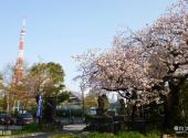 日本东京旅游攻略 之 芝公园