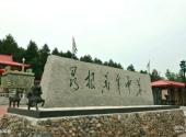 绥化金龟山庄旅游攻略 之 中华根