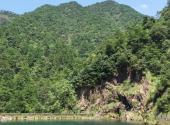 杭州大奇山国家森林公园旅游攻略 之 奇松
