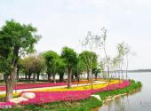 西安世博园旅游攻略 之 花卉植物
