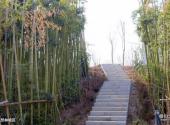 西安航天城中湖公园旅游攻略 之 自然林坡区