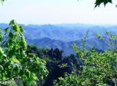 大连大黑山风景区旅游攻略 之 大黑山森林公园