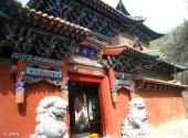 兰州白塔山公园旅游攻略 之 法雨寺