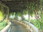 淮安勺湖园风景区旅游攻略 之 长廊