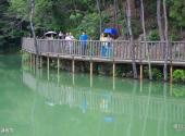 湖北武汉锦里沟旅游攻略 之 滨湖栈道