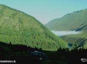 新疆喀纳斯景区旅游攻略 之 贾登峪国家森林公园