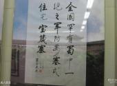 广安宝箴塞民俗文化村旅游攻略 之 名人题词