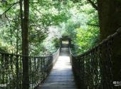 楚雄紫溪山风景区旅游攻略 之 铁锁桥