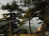 岳西妙道山风景区旅游攻略 之 五子送福