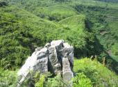 晴隆三望坪风景区旅游攻略 之 高岭林海