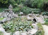 西安植物园旅游攻略 之 木兰园