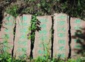 广元牛头山风景区旅游攻略 之 石刻