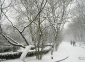 燕山大学校园风光 之 雪后燕大