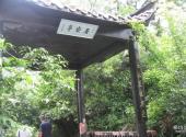 婺源晓起村旅游攻略 之 居安亭