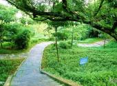 珠海炮台山公园旅游攻略 之 绿化