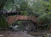 浙江泰顺乌岩岭旅游攻略 之 福漈桥