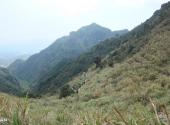 莆田瑞云山风景区旅游攻略 之 森林