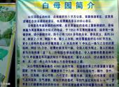 马鞍山濮塘风景名胜区旅游攻略 之 白母园