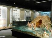山东省博物馆旅游攻略 之 考古成果展
