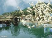 广元苍溪红军渡·西武当山景区旅游攻略 之 乡土树种博览园